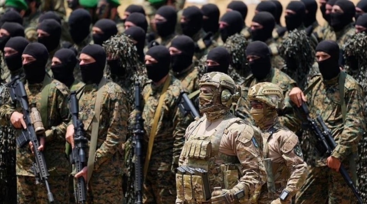 Hezbollah Paramilitary Units