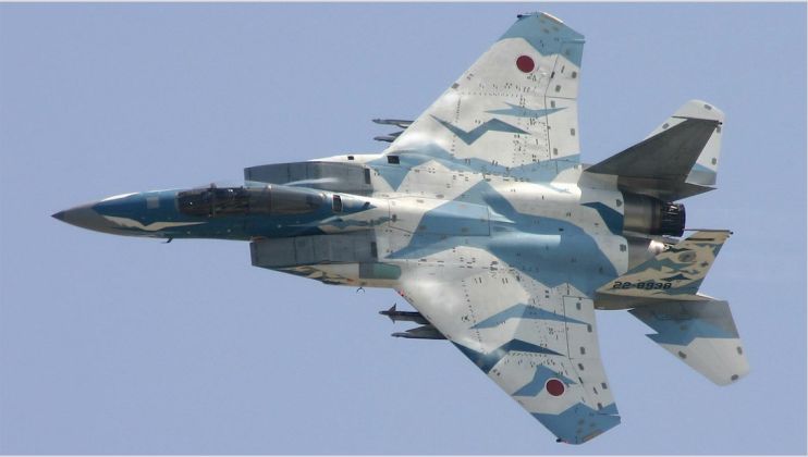 F-15J Heavyweight Fighter