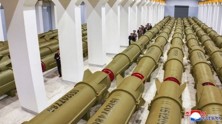 Inspection of Facilities For KN-23 Production