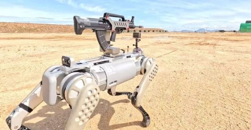 Chinese Robot Dog with Automatic Rifle